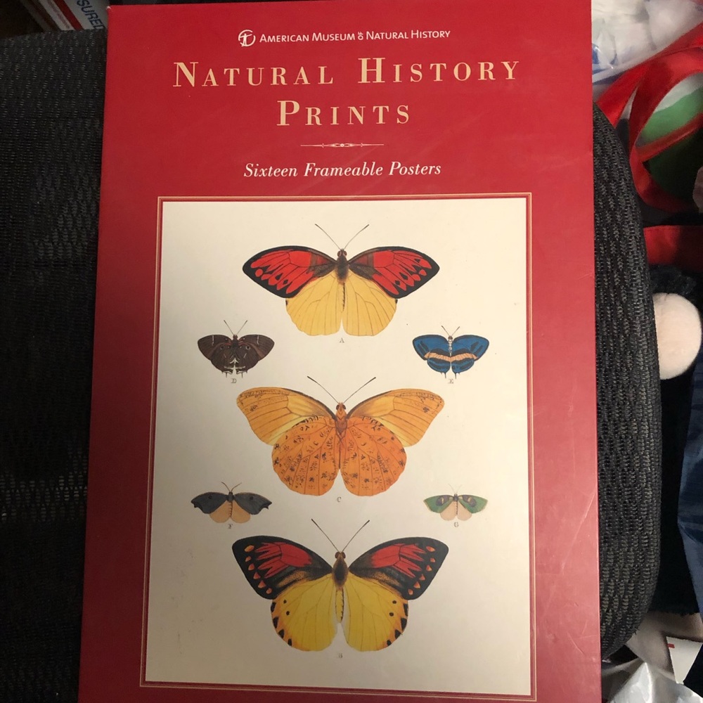 Natural History Prints (16 Posters) - 532 $30 or $25 w/offer